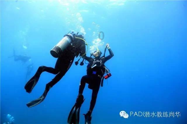 美妙圣诞节拼图